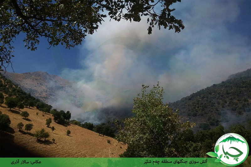 گزارش تصویری آتش سوزی منطقه “چەم شلێر”