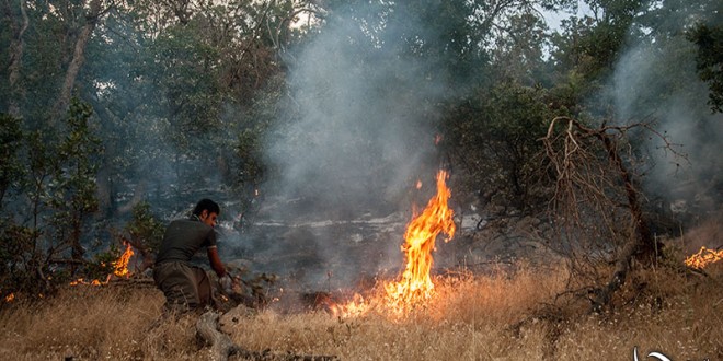 مریوان هم چنان در آتش می سوزد