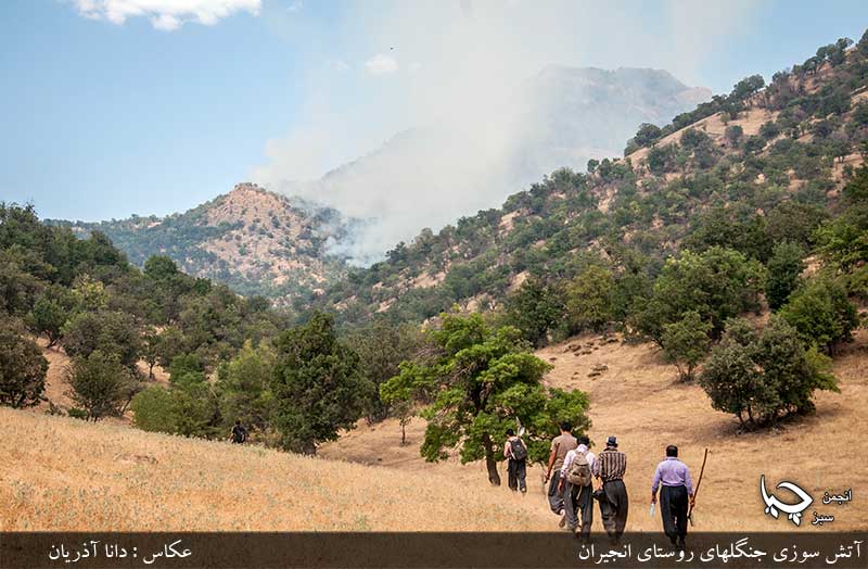 گزارش آتش	 سوزي جنگلهاي روستاي انجيران