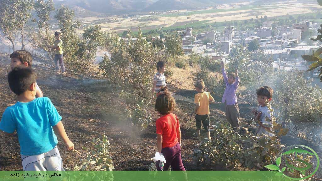 مشارکت فعال کودکان شهر کانی دینار در خاموش نمودن آتشسوزی جنگلها
