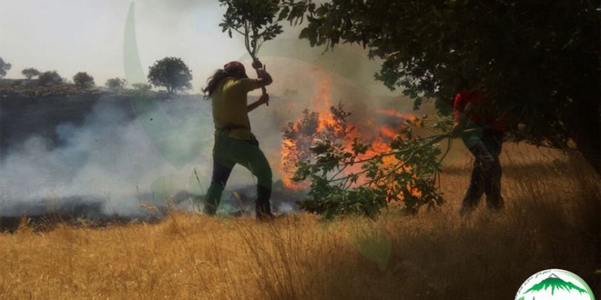 گزارش تصویری آتش سوزی منطقه “برکوه”گیلان غرب