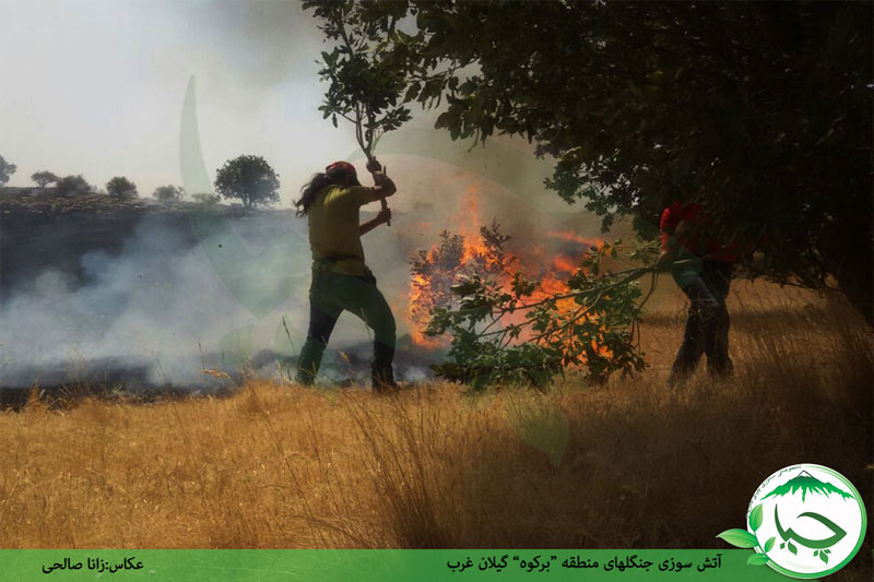 گزارش تصویری آتش سوزی منطقه “برکوه”گیلان غرب