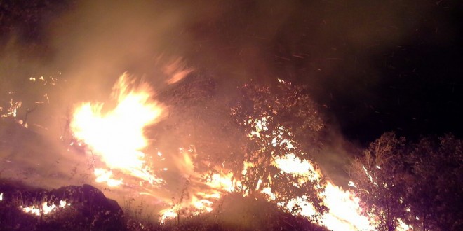 سریال آتش سوزی جنگل های کوردستان به کلاترزان رسید