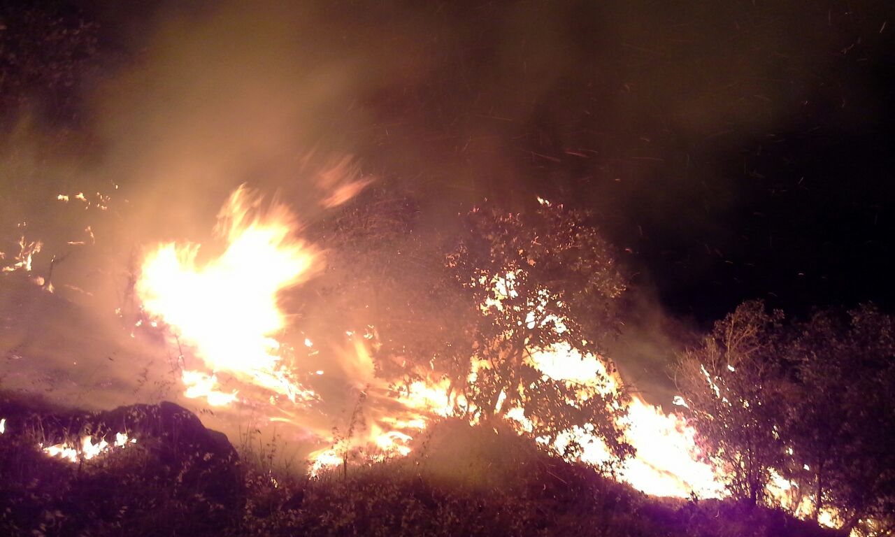 سریال آتش سوزی جنگل های کوردستان به کلاترزان رسید