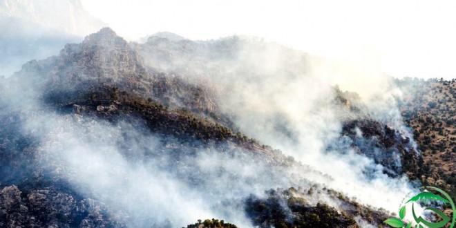 آتشسوزی های مکرر در منطقه حفاظت شده کوسالان و شاهو