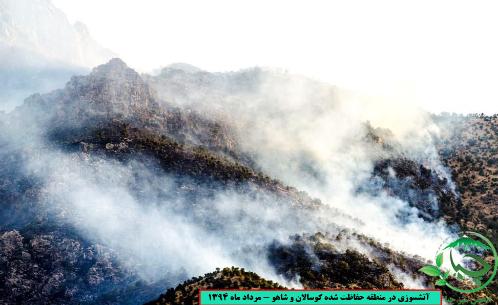 آتشسوزی های مکرر در منطقه حفاظت شده کوسالان و شاهو