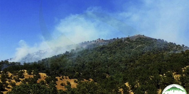 گزارش تصویری آتش سوزی جنگلهای کوه قووچەلووس