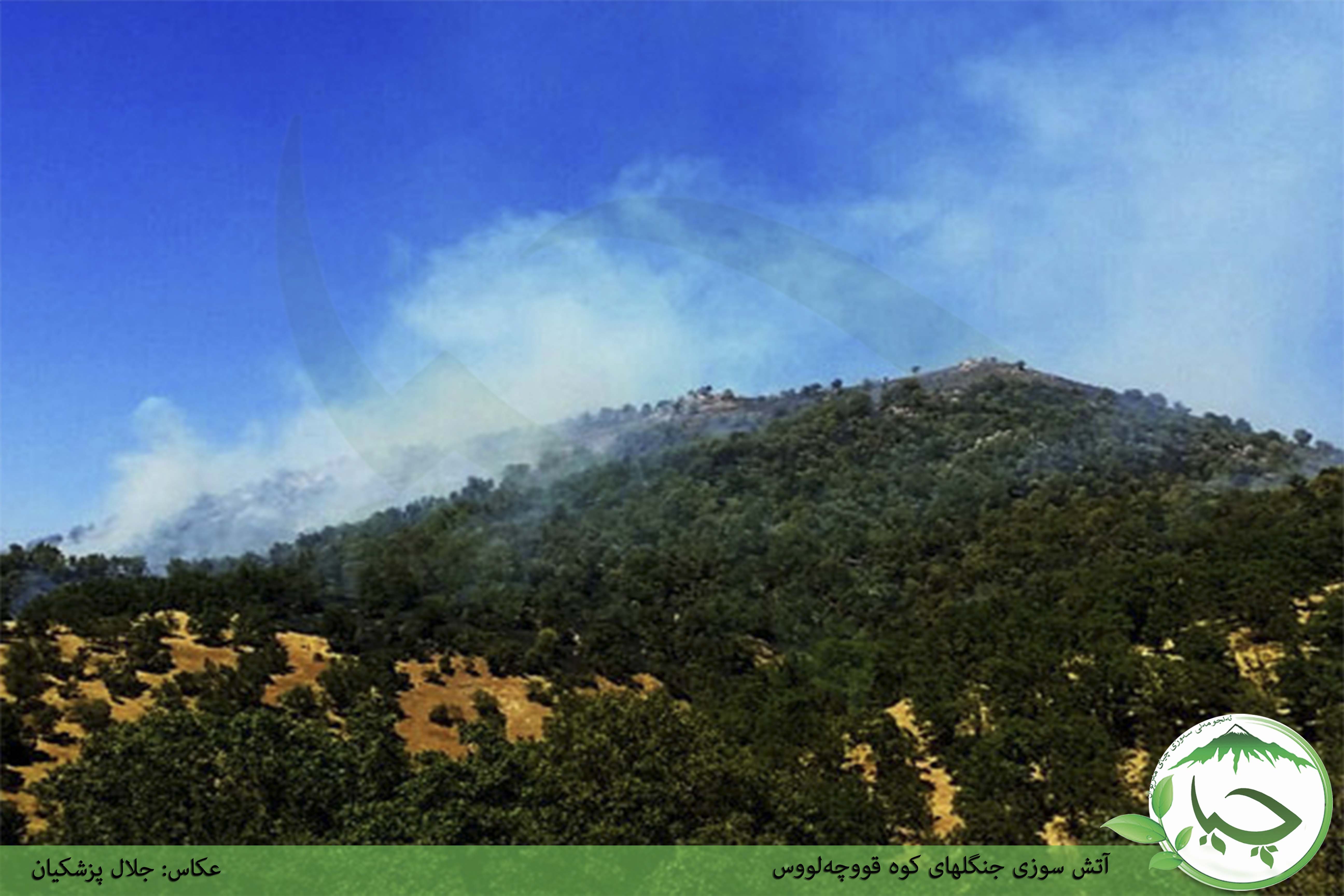 گزارش تصویری آتش سوزی جنگلهای کوه قووچەلووس