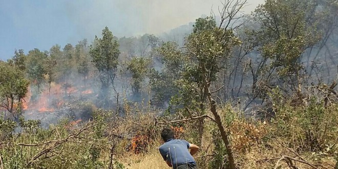 ایمام نماد مریوان در آتش سوخت
