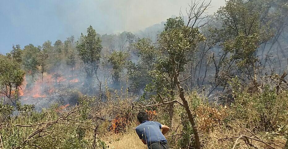 ایمام نماد مریوان در آتش سوخت