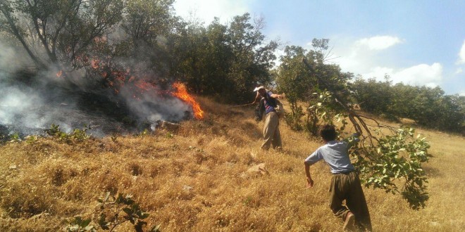 ئاگرەکانی ١٣ی گەلاوێژ