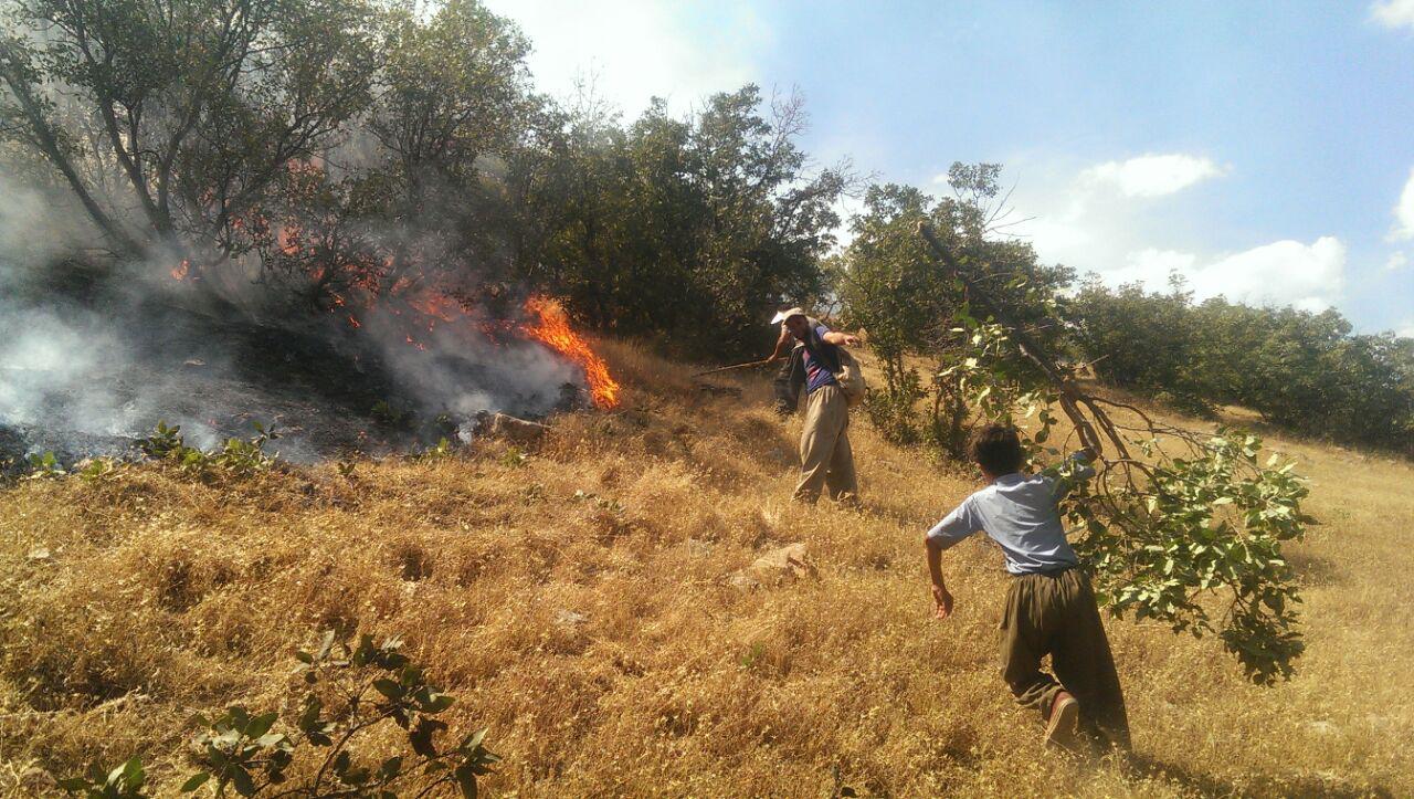 ئاگرەکانی ١٣ی گەلاوێژ