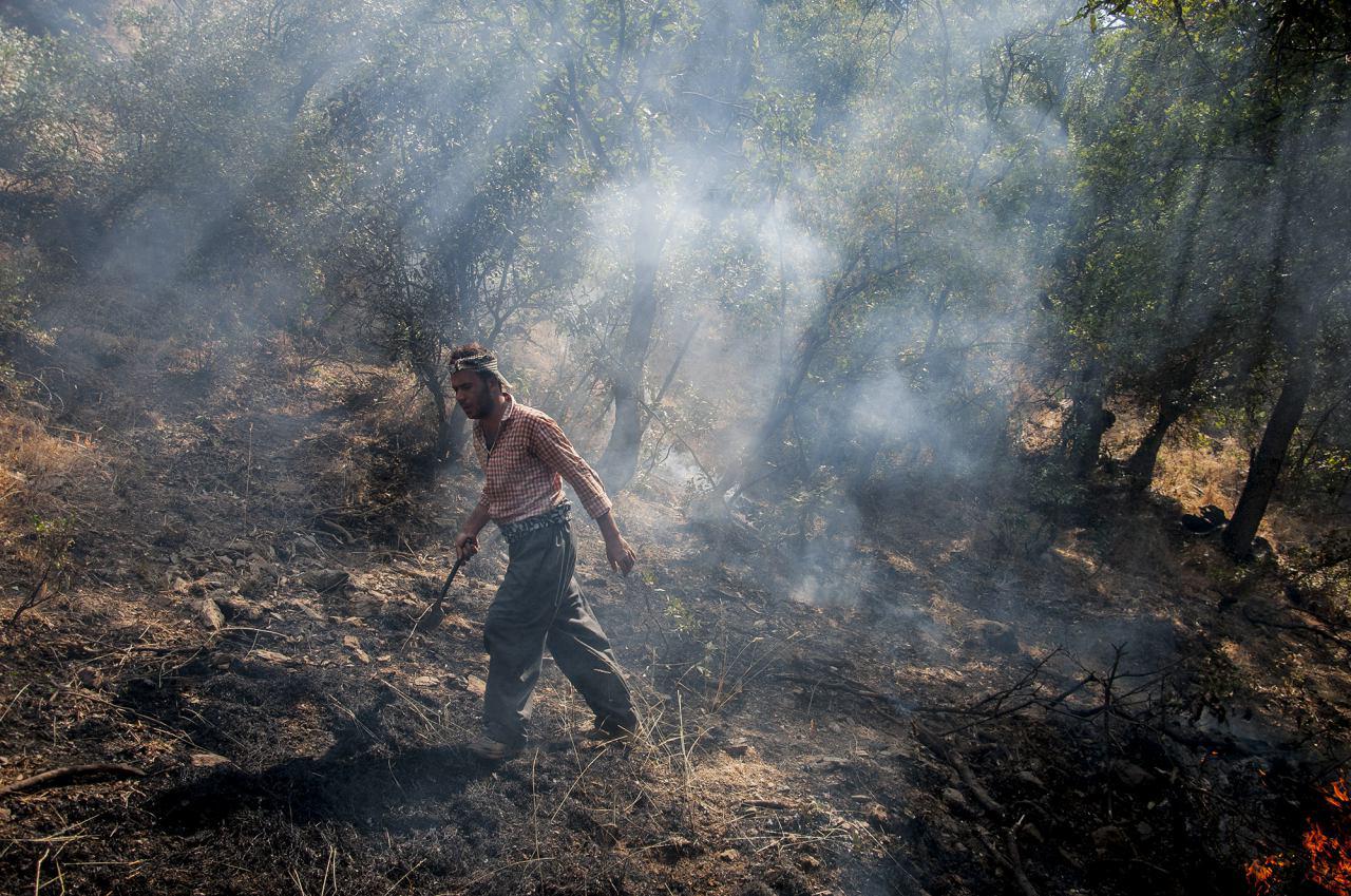 آمار آتش سوزی جنگل های شهرستان های مریوان و سروآباد در 14 مرداد 94