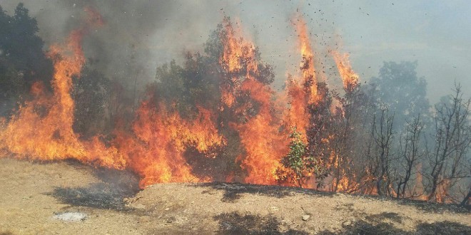 مانور نظامی با چە قیمتی؟