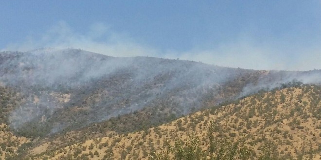 مانور نظامی یا فاجعە زیستی؟