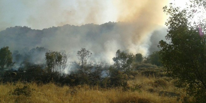 فعالیت نهاد های نظامی در منطقە حفاظت شدە کوسالان