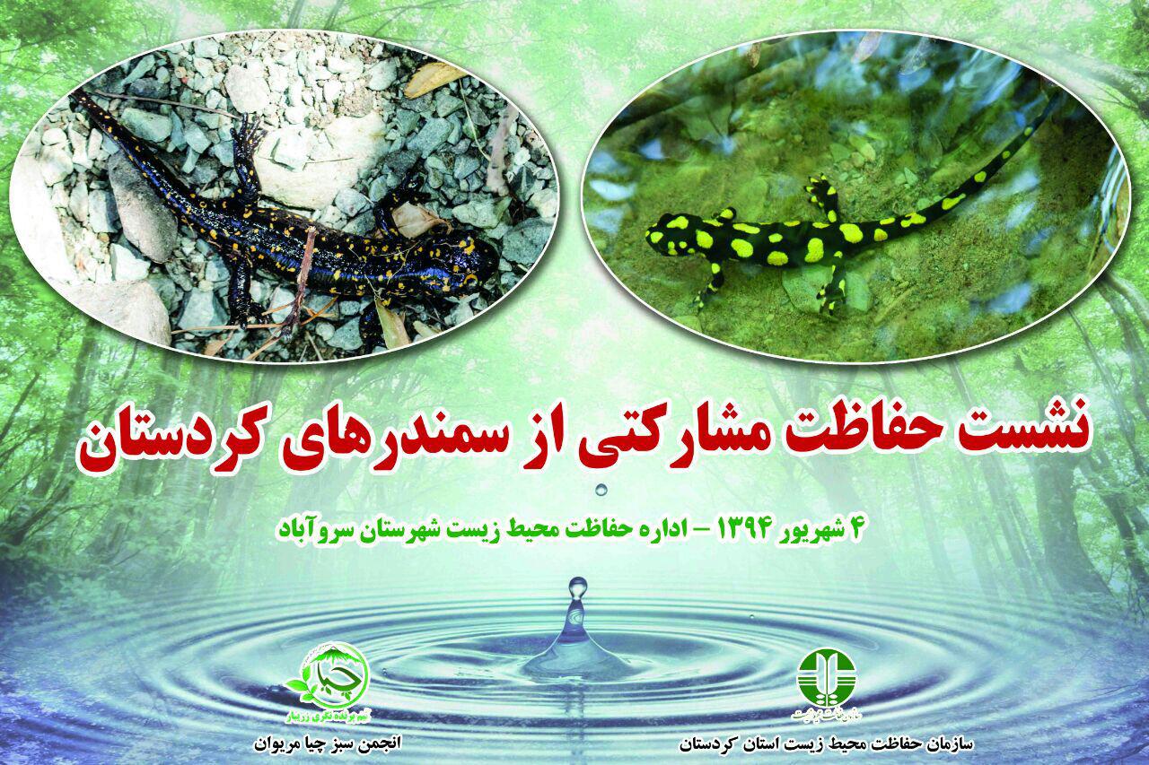 نشست حفاظت مشارکتی از سمندرهای کردستان برگزار شد