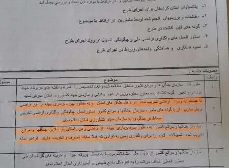 ایده هایی خطرناک برای جنگل های کردستان