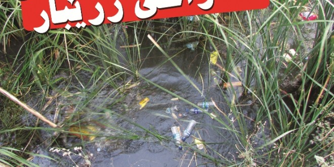 خاوێن کردنەوەی قەراخی زرێبار