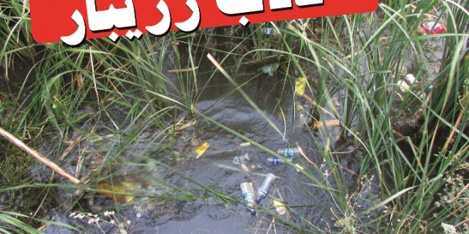 پاکسازی حاشیە تالاب زریبار