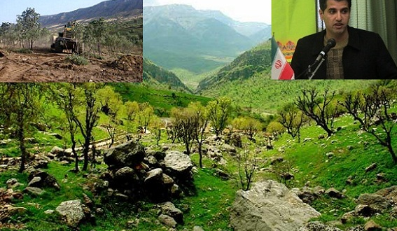 واگذاری جنگلهای تخریب شده کردستان زمینه ای برای نابودی منابع طبیعی/امید باتو