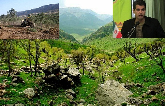 واگذاری جنگلهای تخریب شده کردستان زمینه ای برای نابودی منابع طبیعی/امید باتو