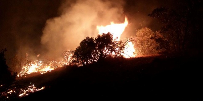 آتش سوزی جنگل ها و بادهای پائیزی