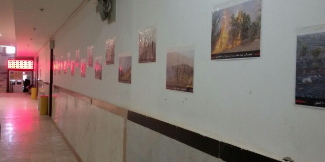 دانشگاه پیام نور مریوان