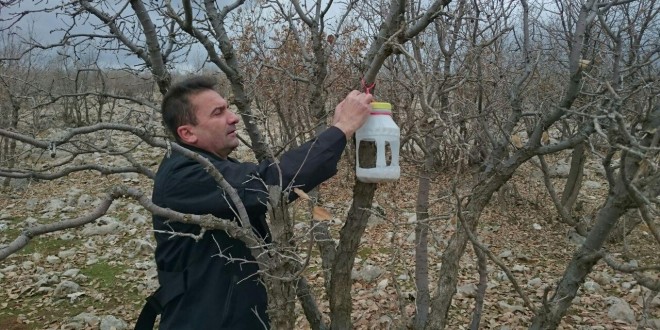 کمک به پرندگان در فصل زمستان