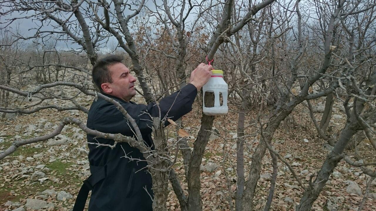 کمک به پرندگان در فصل زمستان