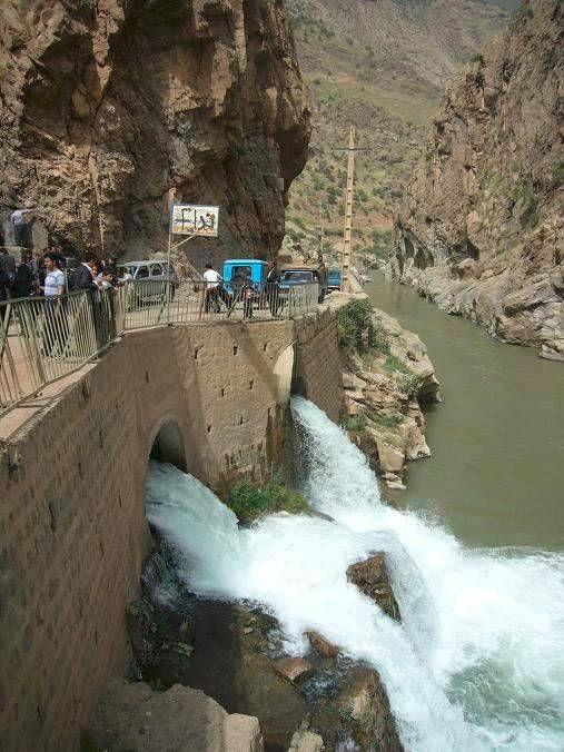 اعلام حمایت شبکه‌های استانی سازمانهای غیردولتی محیط زیست و منابع طبیعی کشور از کانی بل