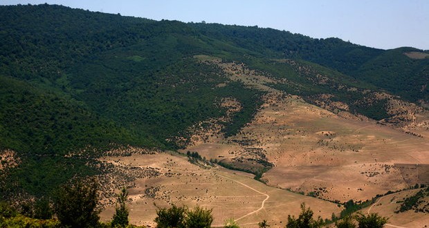 نبرد نابرابر درختکاری و جنگلزدایی/ سرنوشت نهالها در ابهام