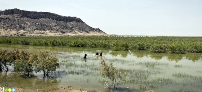 هامون پر آب شد