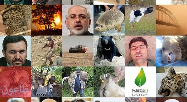 مروری بر مهم ترین رخدادهای محیط زیست ایران در سال ۱۳۹۴