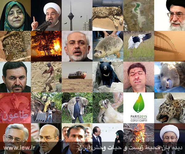 مروری بر مهم ترین رخدادهای محیط زیست ایران در سال ۱۳۹۴