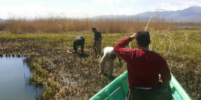 پاکسازی بیش از نیم تن زباله در حاشیه دریاچه زریبار