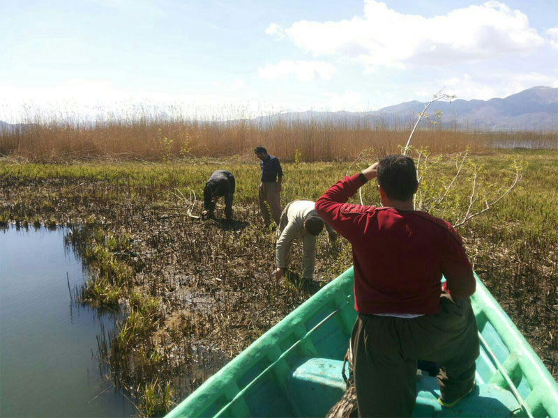 پاکسازی بیش از نیم تن زباله در حاشیه دریاچه زریبار