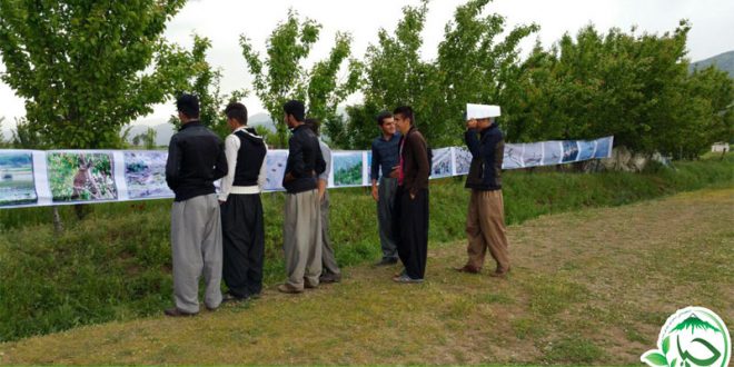 گزارش تصویری نمایشگاه عکس پرندگان زریبار