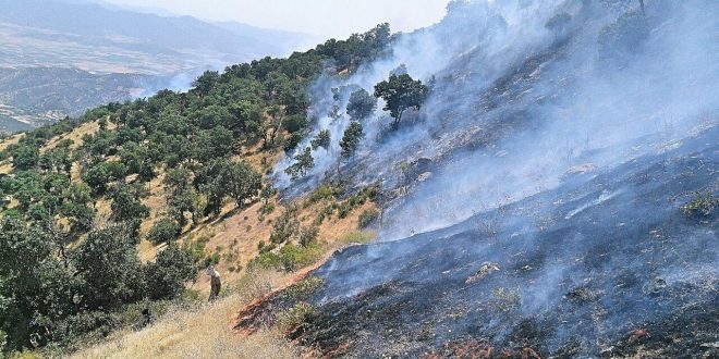 وەتەن چاوی لێمانە دەریکەین لە تەنگانە