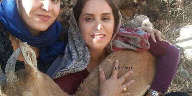 فعالیت دلسوزان حمایت از حیوانات زخمی را ارج می نهیم