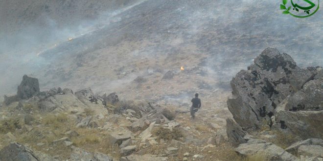 ئاگر کەوتنەوە لە کوێستانەکانی “تەنگیسەر”