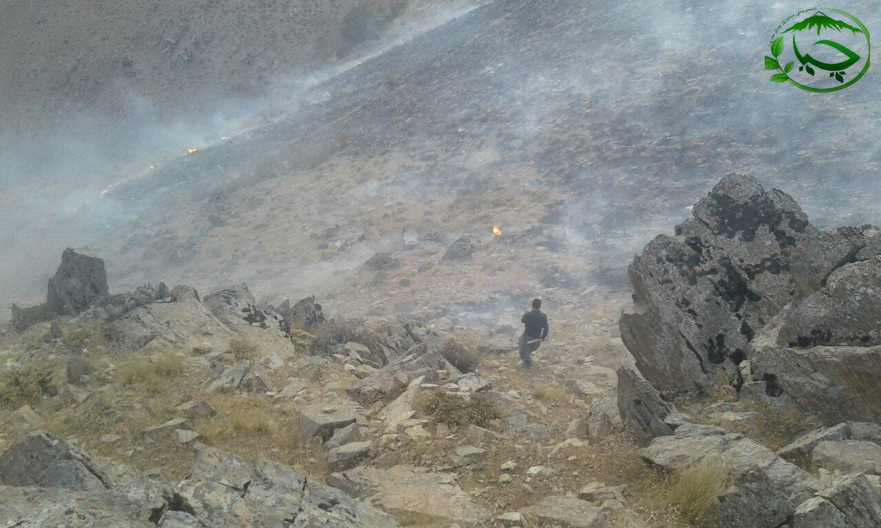 ئاگر کەوتنەوە لە کوێستانەکانی “تەنگیسەر”