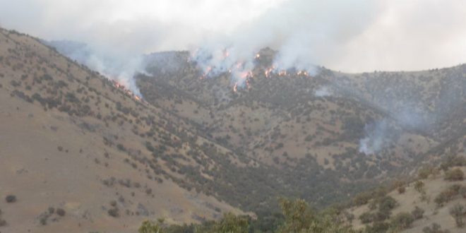 “قەلە بەرد” سیاە پوش شد