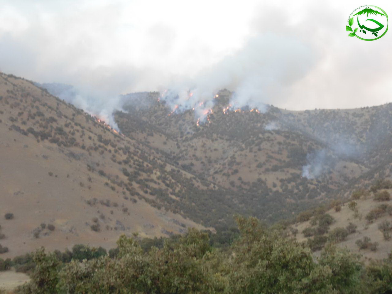 “قەلە بەرد” سیاە پوش شد
