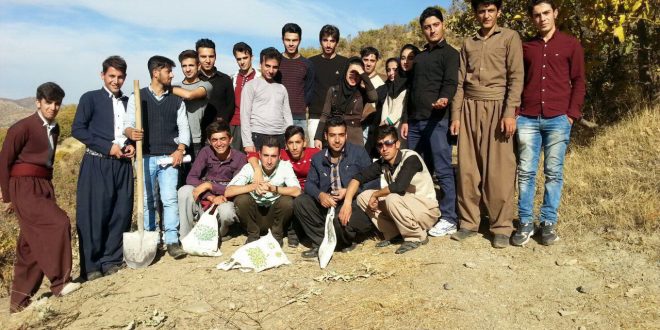 “بذر کاری دانشجویان در جنگلهای سوخته قلە ایمام”