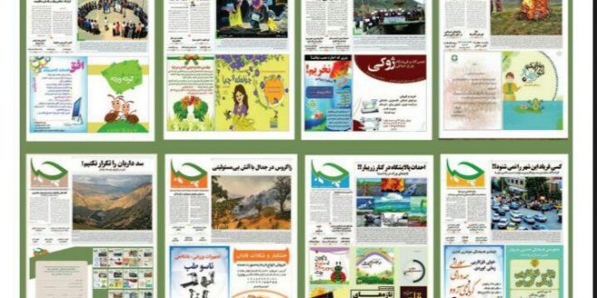 نهالی کوچک با ریشههای سترگ