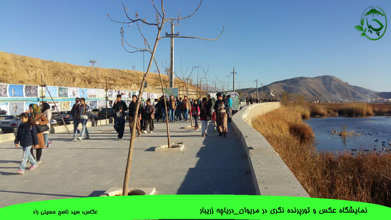 گالری نمایشگاه عکس و تور رایگان پرنده‌نگری در زریبار