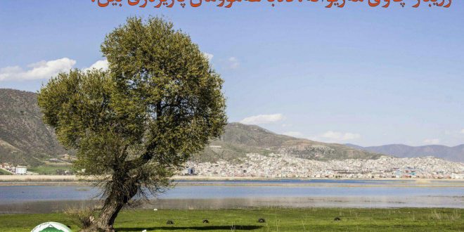 منصور مرادی در دو راهی ماندن یا نماندن زریبار