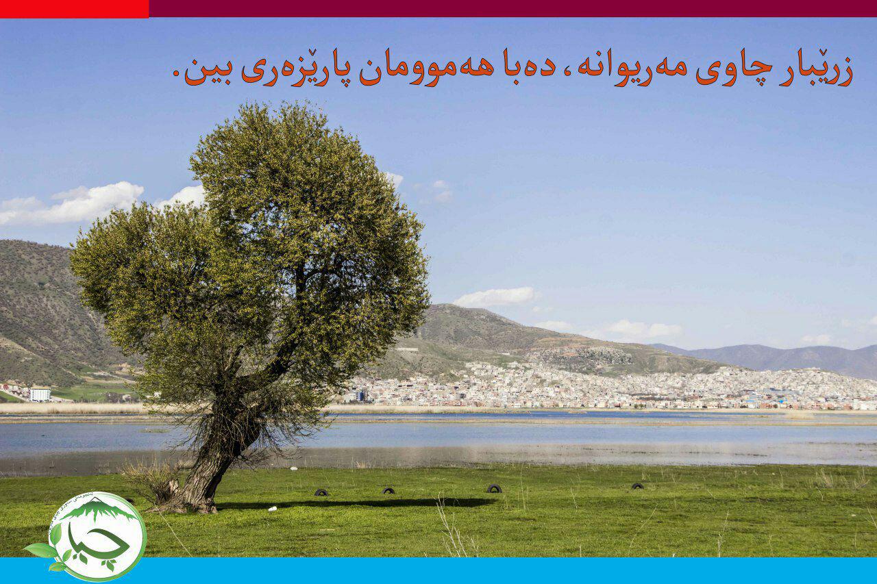 منصور مرادی در دو راهی ماندن یا نماندن زریبار