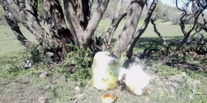 مشکلات محیط زیست استان کوردستان